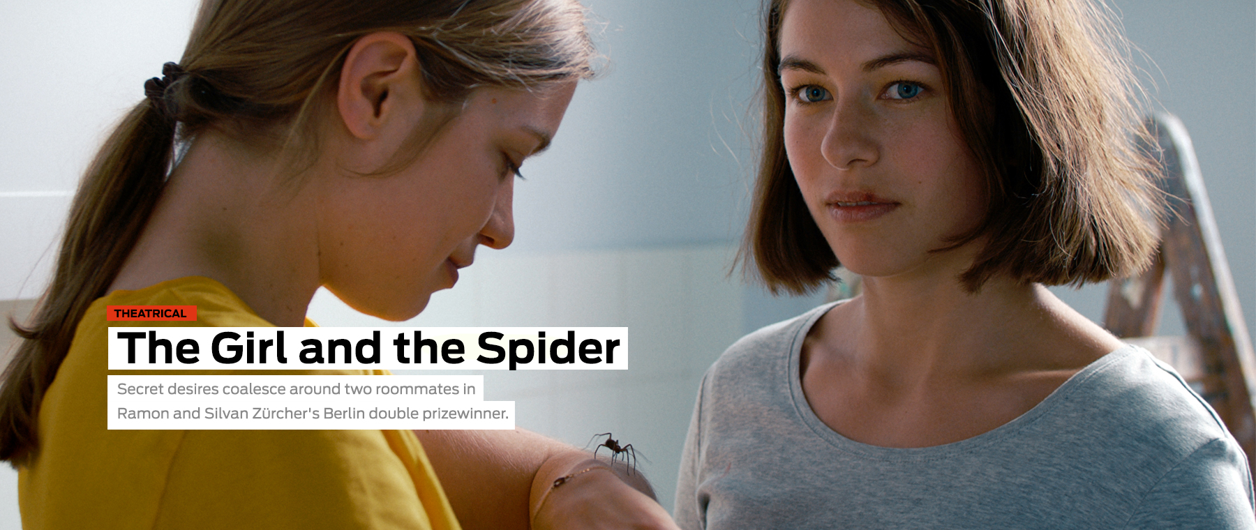 The Girl and the Spider