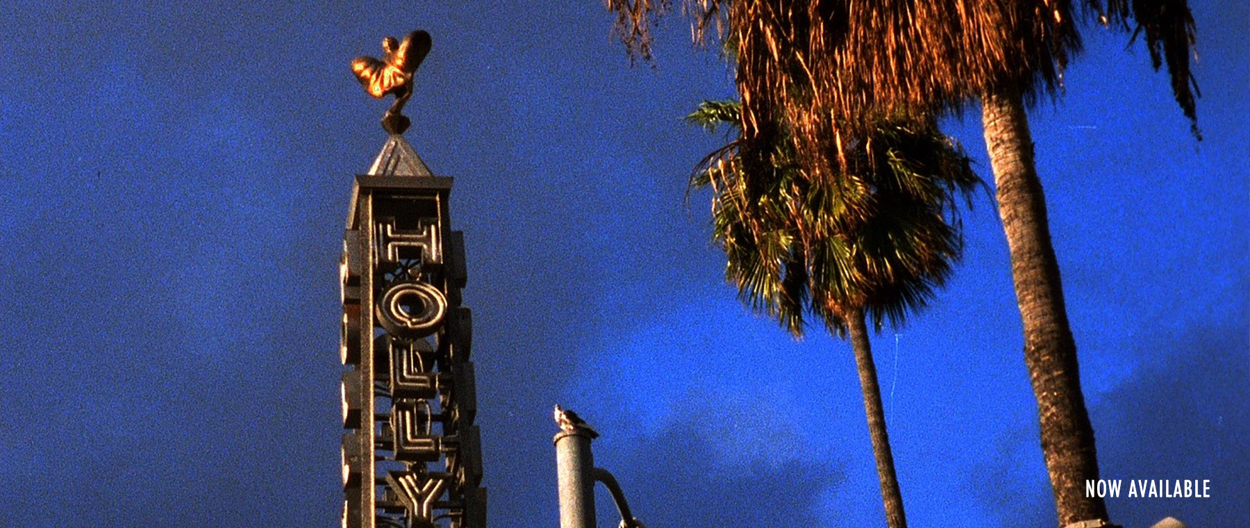 Los Angeles Plays Itself